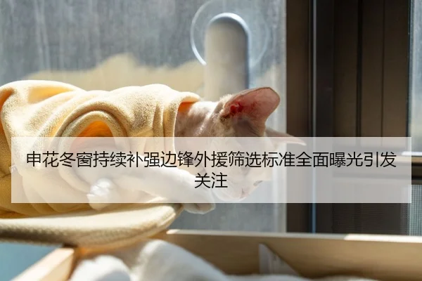 申花冬窗持续补强边锋外援筛选标准全面曝光引发关注